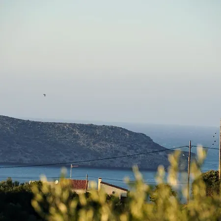 Olive Tree Hillside Дом отдыха Сталос