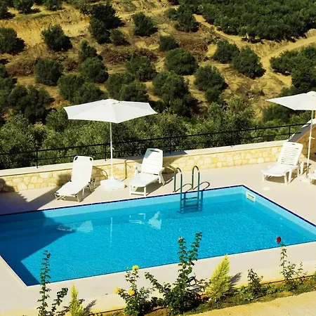 Olive Tree Hillside *